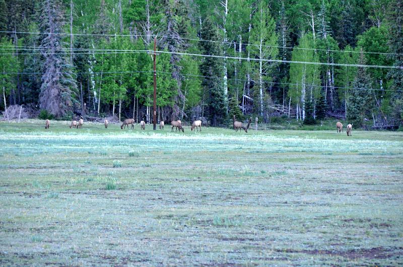 1006111927-Baldy 107.jpg